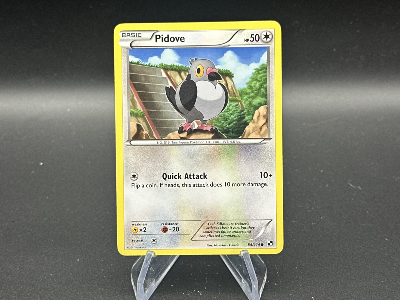 Pidove - 84/114 Black & White - Pokémon TCG - 2011