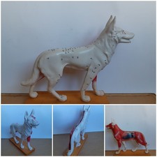 Grande figurine plastique Anatomie de chien modèle d'étude