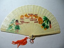 Lovely Hawaiian Islands Vintage Hand Fan in Case