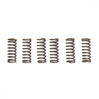 Kupplungsfeder verstärkt EBC CSK014 für MZ/MUZ Skorpion 660 Sport Bj 1994-1999