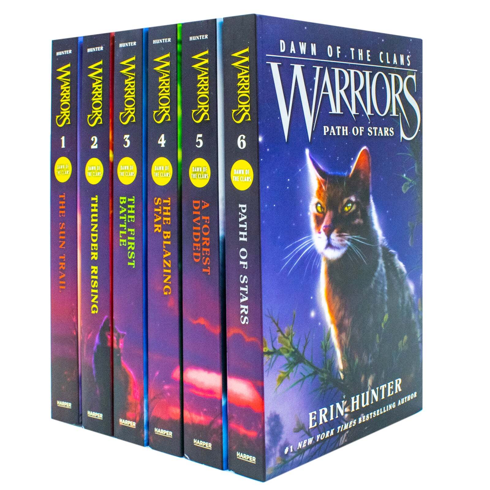 Warriors Cats Dawn of The Clans Prequel Book 1-6 Series 5 Books Co | Hunter Erin