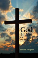 God Is Not Stupid David B. Vaughan Taschenbuch Kartoniert / Broschiert Englisch