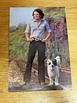 Don McLean American Pie British and Irish Concert Tour  Souvenir Brochure - 1975