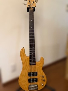 G&L L2500 | eBay