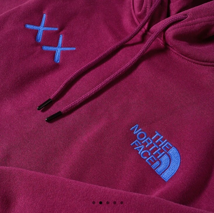 Kaws x The North Face TNF Pamplona Purple Hoodie Sweater (XS