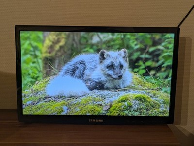 Samsung 22 Zoll TV Model: T22C300EW