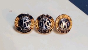 10k Gold Kiwanis President Pin Set Aproximatly 4 Grams