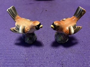 Vintage Salt & Pepper Shakers (Birds)