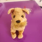 Vintage TY Beanie Baby 2000 WHISKERS the Dog 6 Inch Plush with tags