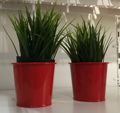 IKEA FEJKA Topfpflanze,knstlich,Gras,9 cm Kunstpflanze Dekopflanzen  Kunstblumen | eBay