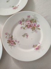 12 Assiettes Porcelaine Décor " Roses"    1900