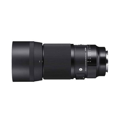 Sigma 105mm Macro L-Mount F2.8 DG DN Art Objektiv