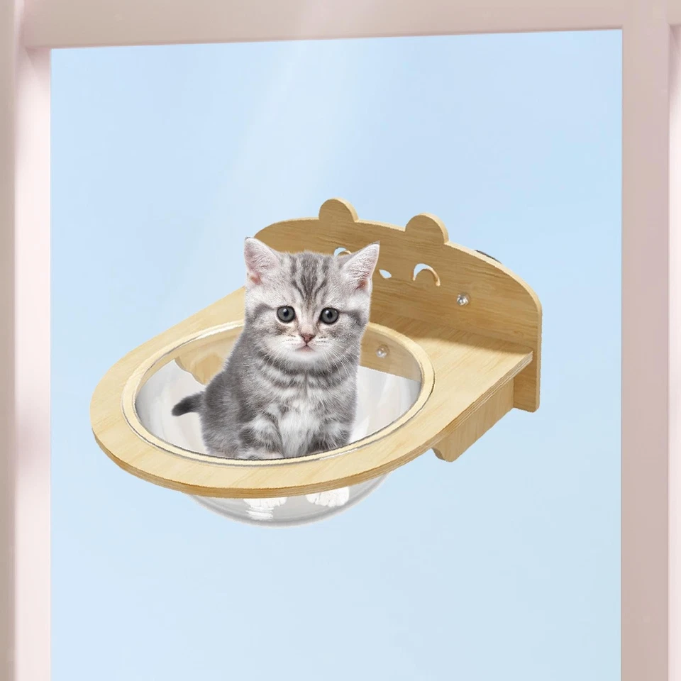 Perchoir de Fenêtre pour Chat, Lit de Fenêtre Peu Encombrant pour Bronzer, - Photo 1/4