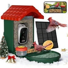 2-in-1 Smart Wild Bird Feeder & Bath with 4K HD Camera, AI Red & Green