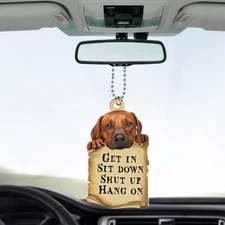 Funny Rhodesian Ridgeback Dog Get In Sit Down Shut Up Hang On Car Ornament Gift