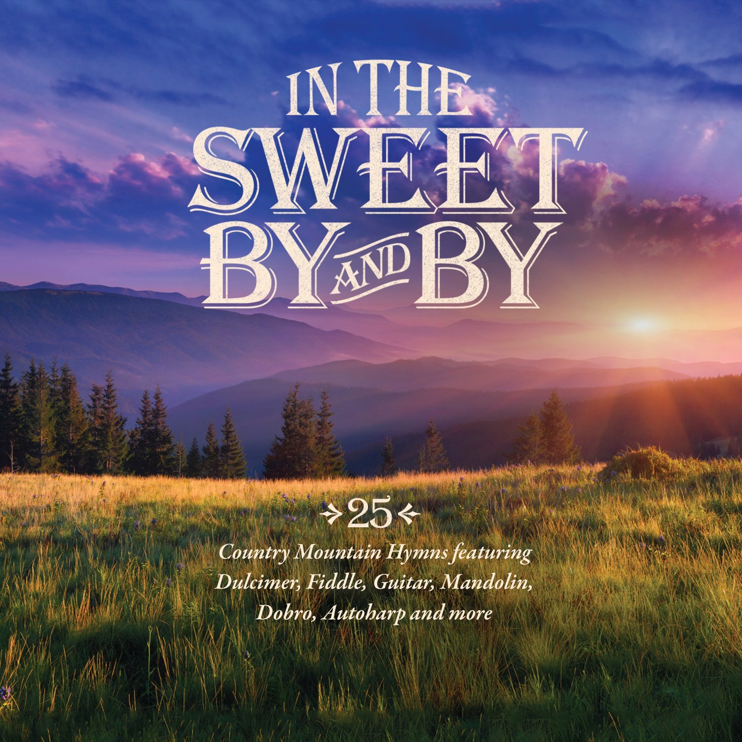 In the Sweet By and By In the Sweet By and By / Vario (CD)
