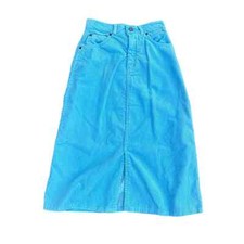 Vintage 70s baby blue corduroy midi skirt