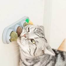 4-in-1 Catnip Silvervine Ball Cat Toy Teeth Cleaning Wall Mounted
