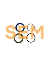 FITS AH149810 SEM Replacement Hydraulic Cylinder Seal kit fits 410G