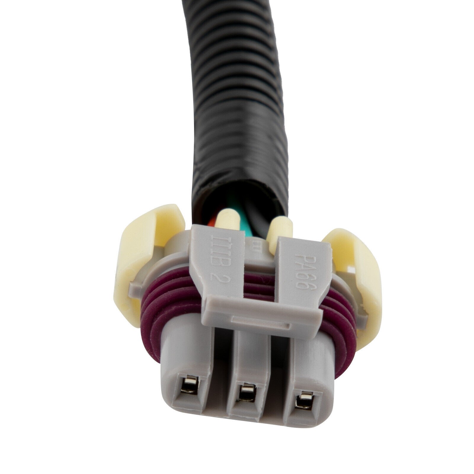 LS Swap LS1 Engine STANDALONE HARNESS T56 Manual Tran 4.8L/ 5.3L/ 6.0L 97-06 DBC