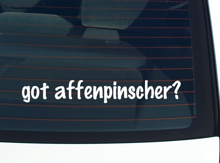Affenpinscher Lover Car Decal - Funny Vinyl Bumper Sticker for Windows