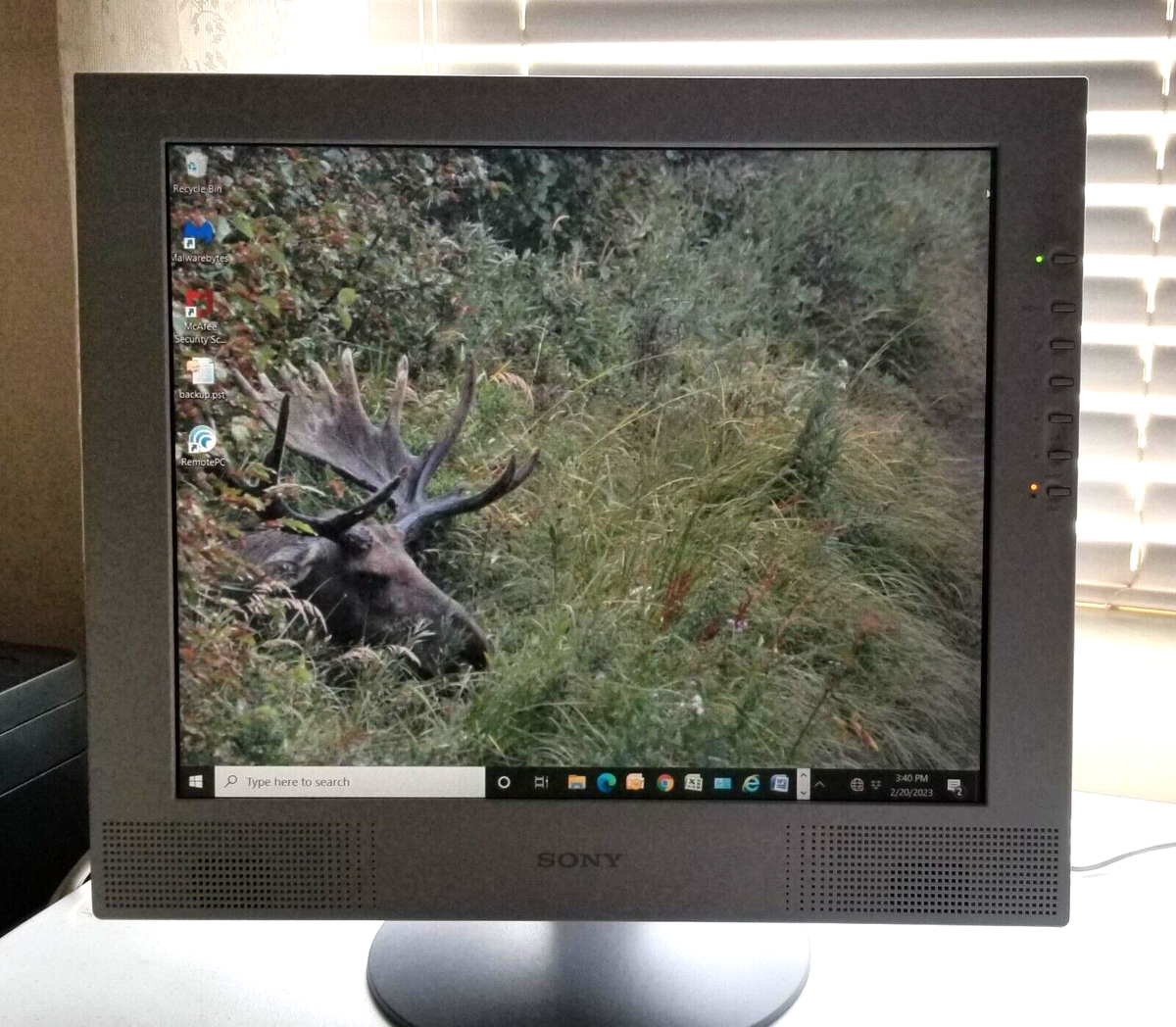 SONY SDM-M81 TFT LCD Color Display Monitor 18.1