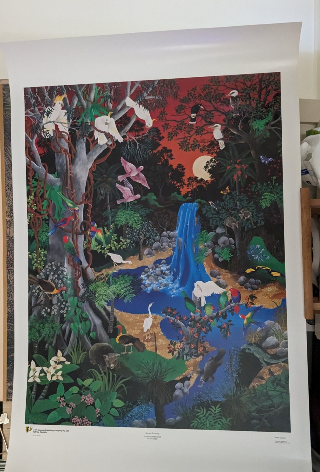 Picture 1 of 1