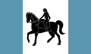 Coventry Flag Self Adhesive Vinyl Sticker