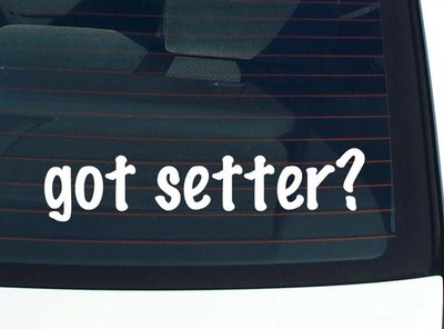 got setter? CAR DECAL BUMPER STICKER VINYL FUNNY JOKE WINDOW