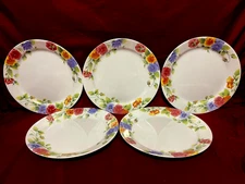Corelle Summer Blush Dinner Plates 10 1/4" (Set Of 5) USA