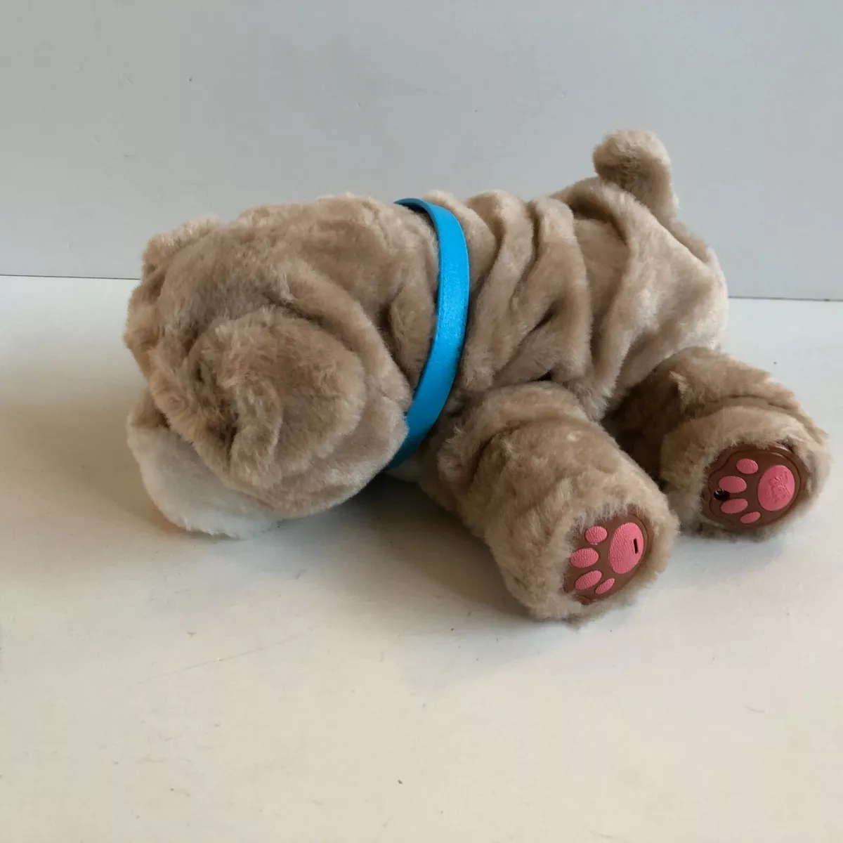 Rollie the puppy top