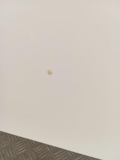 Capot Renault KANGOO