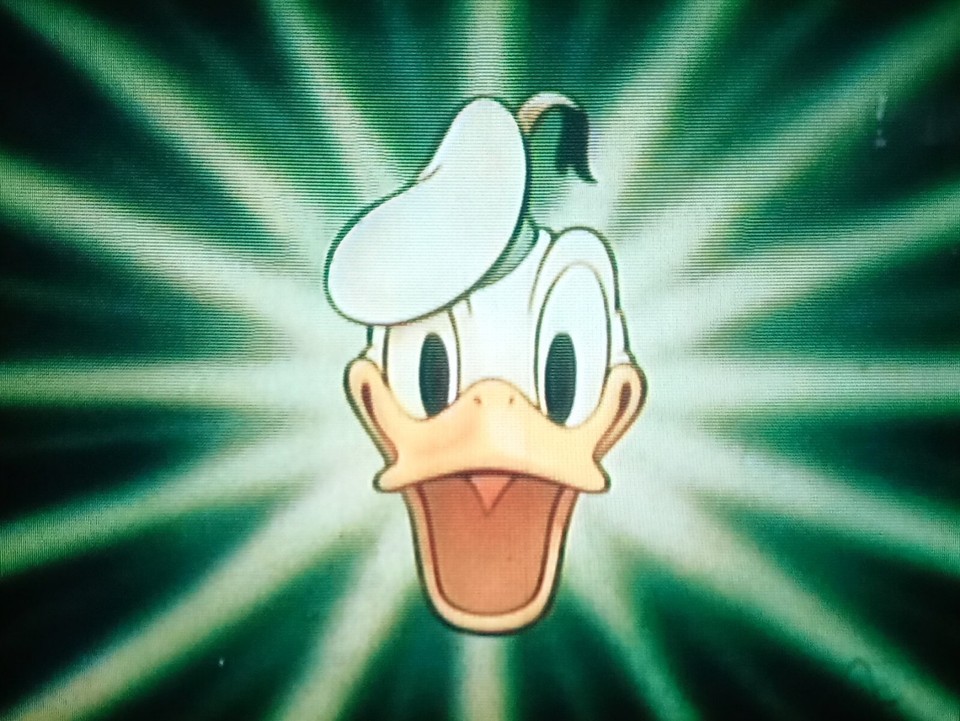 Donald Duck + Chip & Dale "Chips Ahoy" IB Technicolor, 1955, 16mm