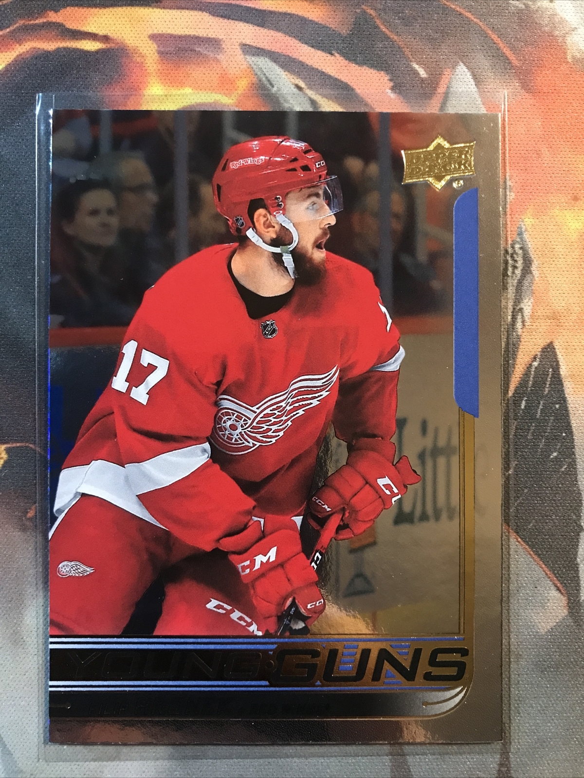 2018-19 Filip Hronek Upper Deck Young Guns SILVER FOIL Rookie RC 214