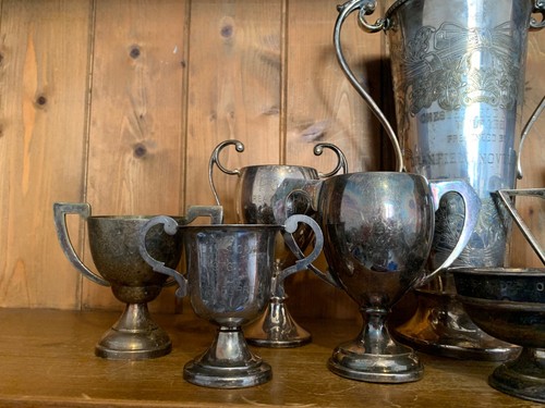 Damaged x 10 vintage silver plate trophies, loving cup - Picture 2 of 8
