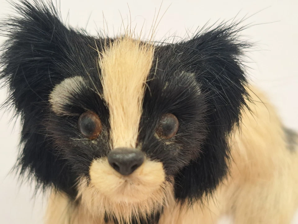 De colección Piel Real Hecha a Mano Perro Barbilla Japonés Negro Blanco 3"x2.5" Piel de Conejo? Foto 3 de 4