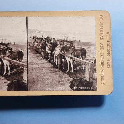 Victorian Seaside Stereoview 3D C1895 Donkey Ride At Rail Bathing Machines