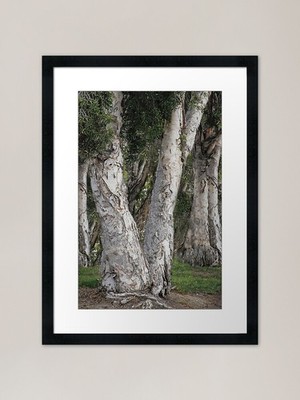 Gerahmtes Kunstbild der Natur Senioren gerahmt Wandbild Poster Leinwanddruck Bild