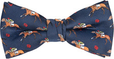 Men's Fun Pattern Pre-Tied Bow Tie Animal Music Plaid Floral Bowtie for Mens Boy