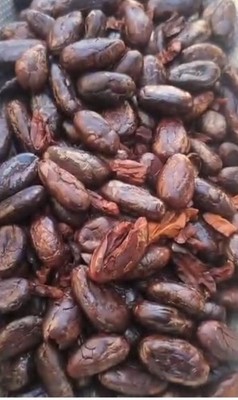 Roasted Cacao Beans and Peeled 1 lbs Fresh cacao beans Puerto Rican Cacao