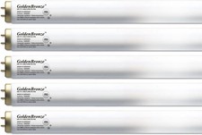 Wolff GoldenBronze 100-120W F71 Bi-Pin Tanning Lamp Bulbs 32-Pack F71T12