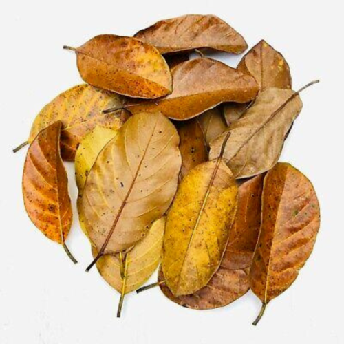 Herbal Jack fruit Dried Leaves Powder 100% Natural High Quality  Organic Tea