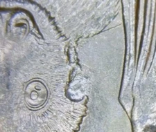 2020P American Samoa National Park Quarter Struck Through Bat Mint Error Coin