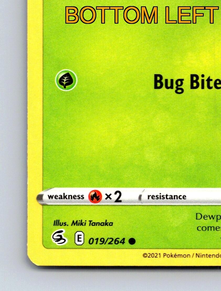 Dewpider HP 50 Bug Bite Attack Rarity Green Pokmon Card | eBay Dewpider HP 50 Bug Bite Attack Rarity Green Pokmon Card | eBay