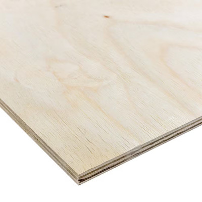 1/4 In. X 2 Ft. X 4 Ft. Sande Plywood Project Panel