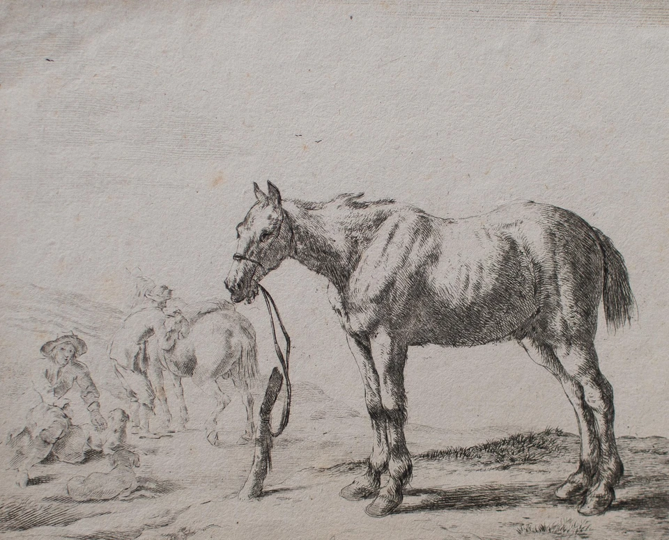 Dirk Stoop Pferde Tierstudie Goldenes Zeitalter Barock Orig Kupferstich 17 Jhd - Bild 3 von 4