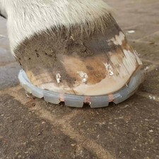 2 St&uuml;ck Rutschfestes Hufeisen Rutschfest Pferde Hufschutzschuhe Verschlei&szlig;fest