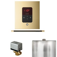 Mr. Steam BBSLPB Basic Butler Square Linear Package Polished Brass