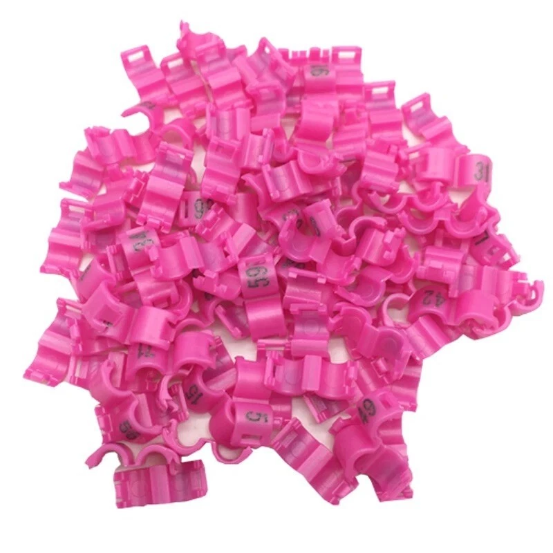 🐦 20 Anneaux de Patte Oiseau à Clip Plastique Canaris Perruches | 2,7-5mm | - Photo 2/4