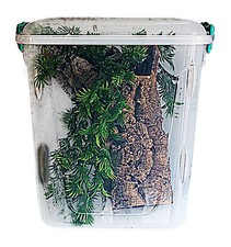 ,Arboreal Tarantula, Reptile,Cage,Tank,Enclosure TALL Metal Mesh Vents